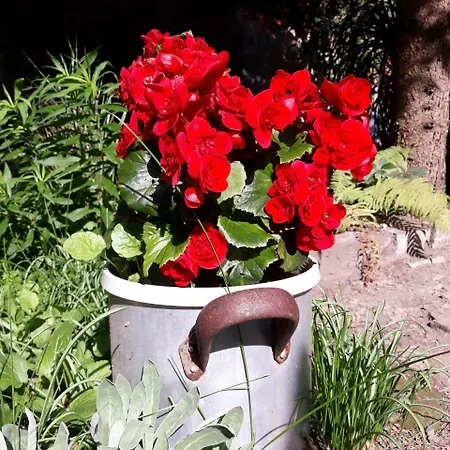 Apartament Krakowski